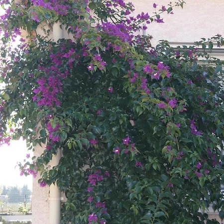 D'hotes Le Libournais 3*